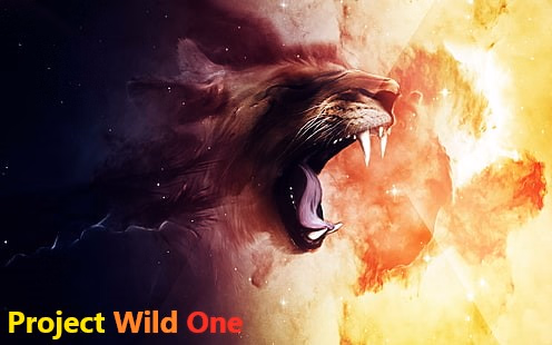Project Wild One