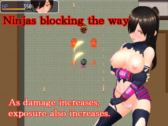 NTR Kunoichi Ayame ~Retrieve the secret book of the village! ~