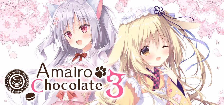 Amairo Chocolate 3